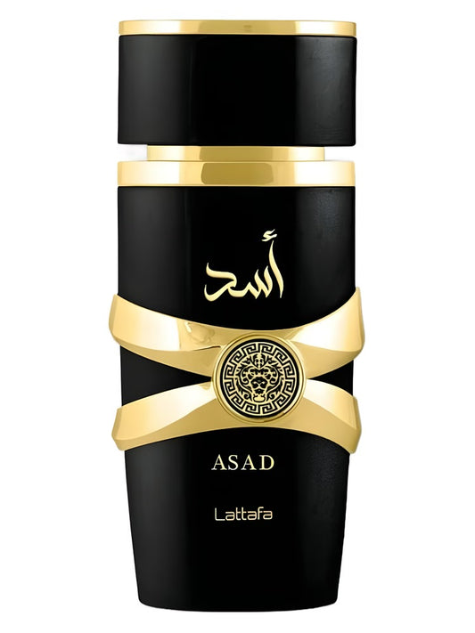 Asad EDP 100ml