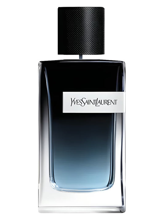 YSL Y EDP 100ml