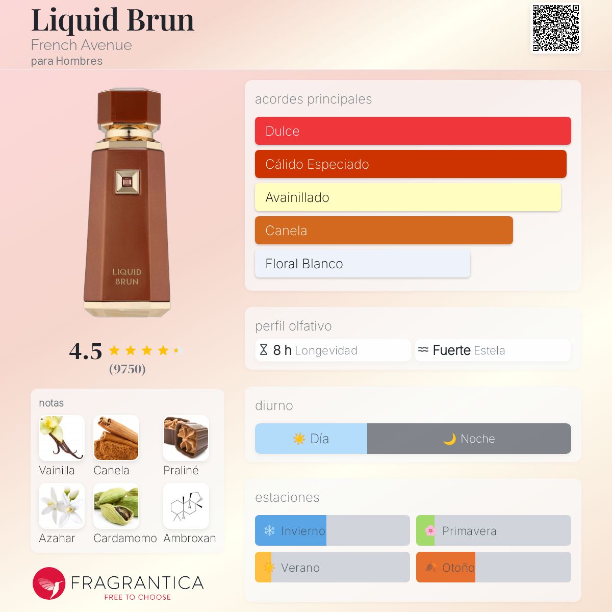 Liquid Brun EDP 100ml